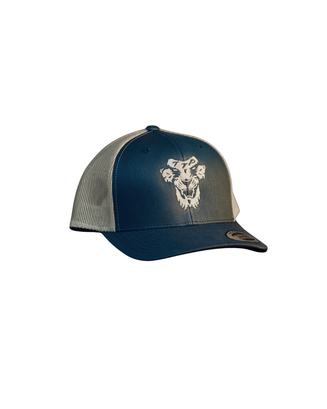 SNAPBACK HAT (BABY BLUE)