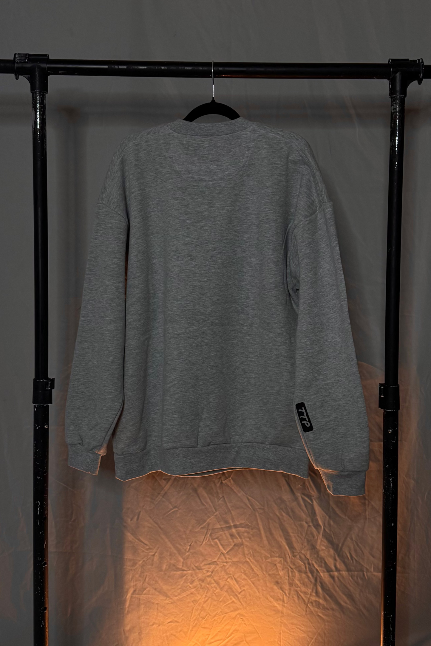 CREWNECK SWEATSHIRT (GRAY)