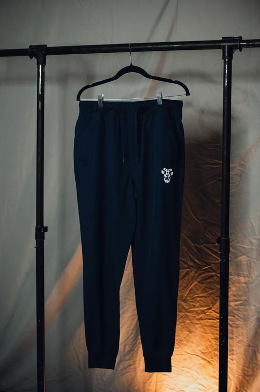 ATHLETIC JOGGERS (IRON BLUE)