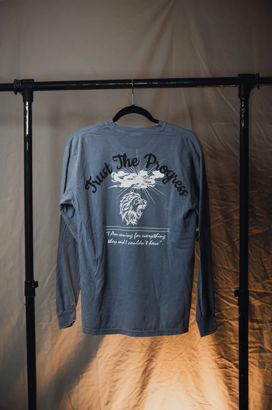 GRAPHIC HEAVYWEIGHT LONG SLEEVE (JEAN BLUE)