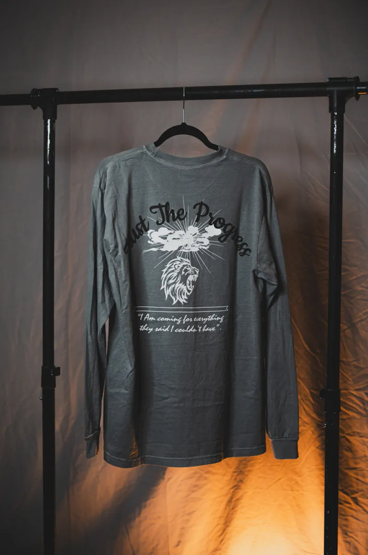 GRAPHIC HEAVYWEIGHT LONG SLEEVE (GRAY)